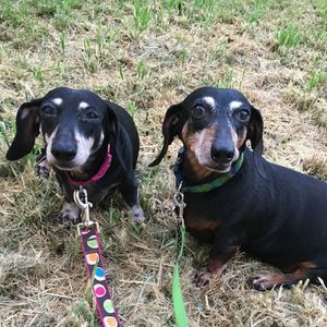 Meet your Posher, Amie